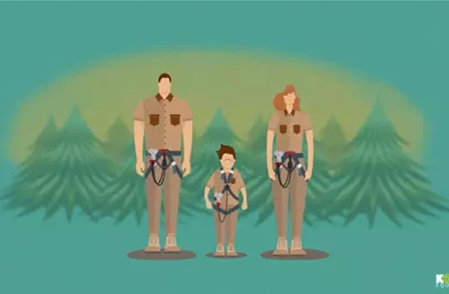 KOALA_motion design